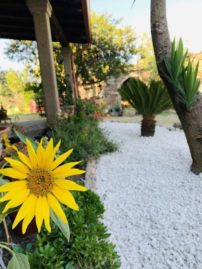 Villa Agriturismo Da Lino Agripizza Samugheo Exterior foto